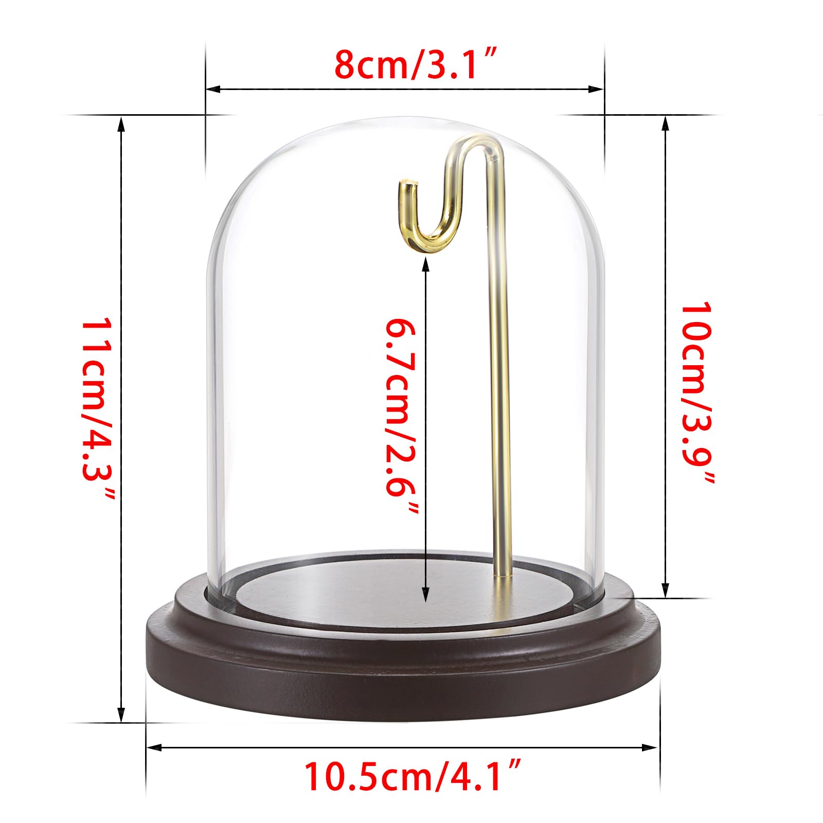 Contenitore in vetro con cupola in vetro cl 22 | VarottoStore