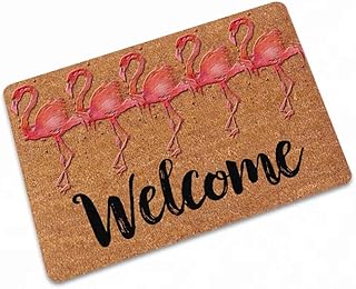 YQ Park Indoor Flamingo Welcome Doormat Super Water Absorbent Door Mat Entry Way Rug for High Traffic Areas