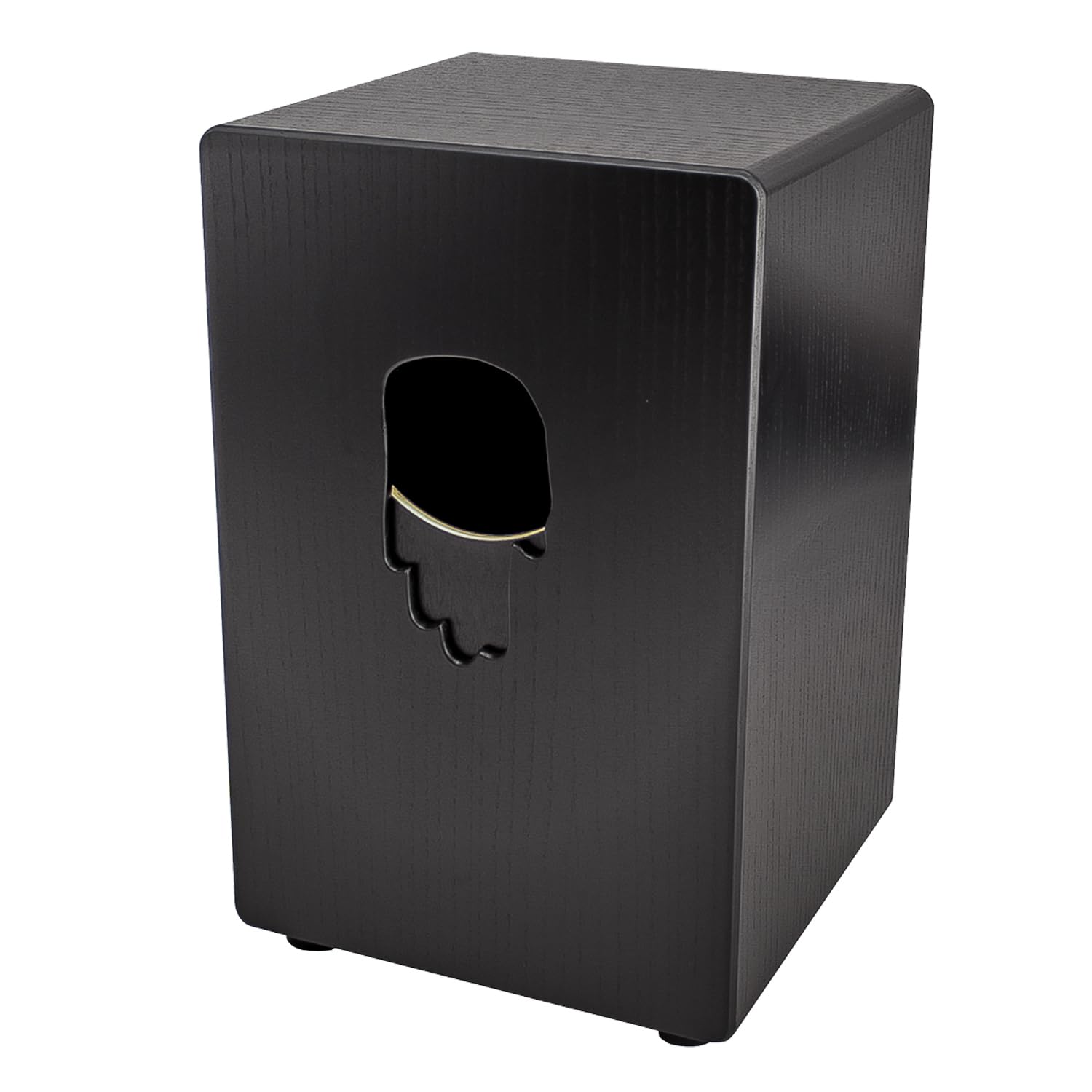 Pur PC1066 Vision One Black Cajon + keepdrum Cajon-Tasche