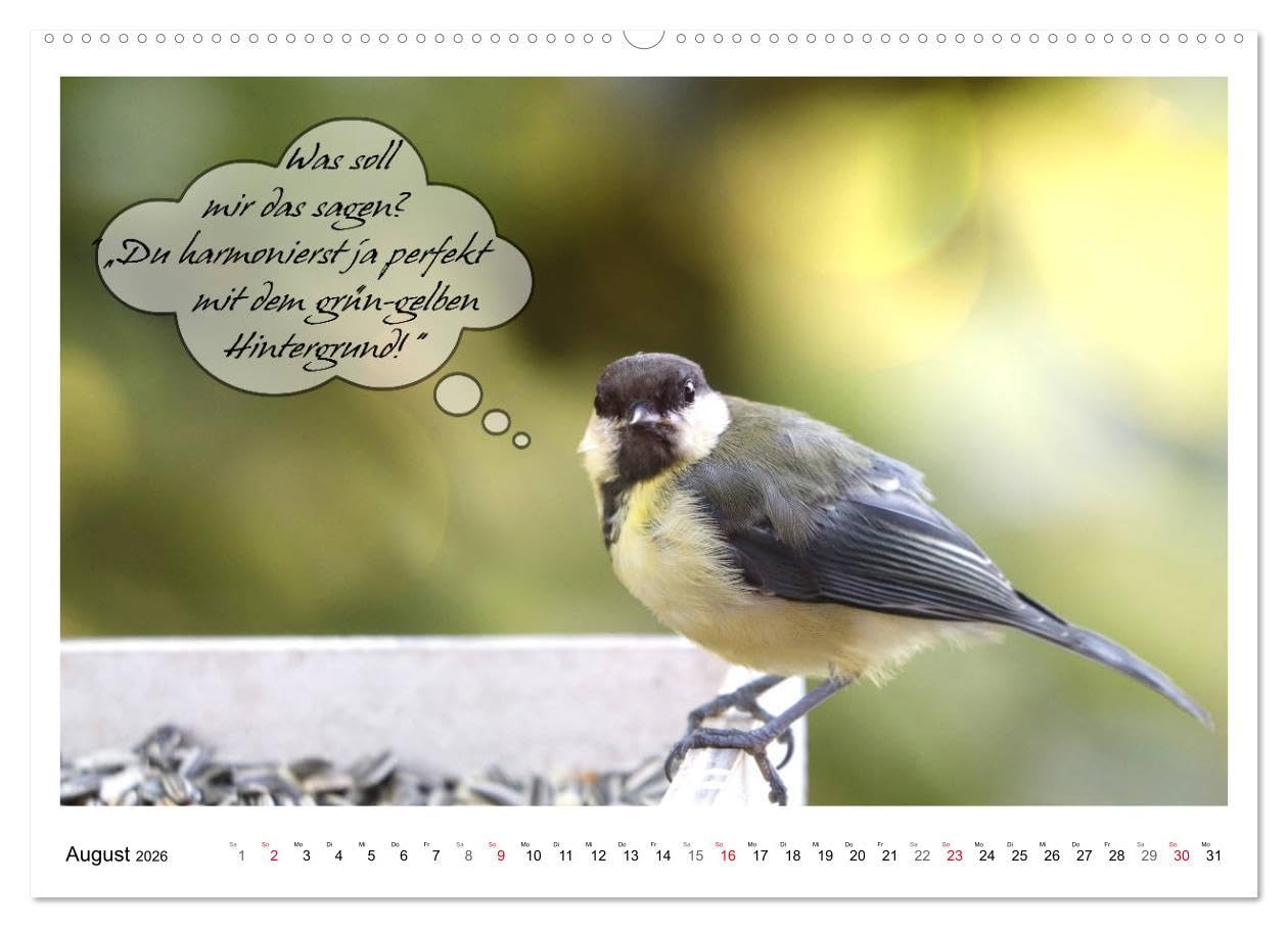 Vögel mit Humor (hochwertiger Premium Wandkalender 2026 DIN A2 quer), Kunstdruck in Hochglanz: Lustige Sprüche aus frechen Schnäbeln (CALVENDO Spass)