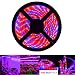 Lahoku LED Plant Grow Strip Light 16.4ft SMD 5050 Waterproof Full Spectrum Red Blue 4:1 Rope Strip Grow Light with Power Adapter for Greenhouse Hydroponic Plant (5M)