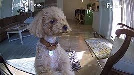 Review Image by Dianna K.