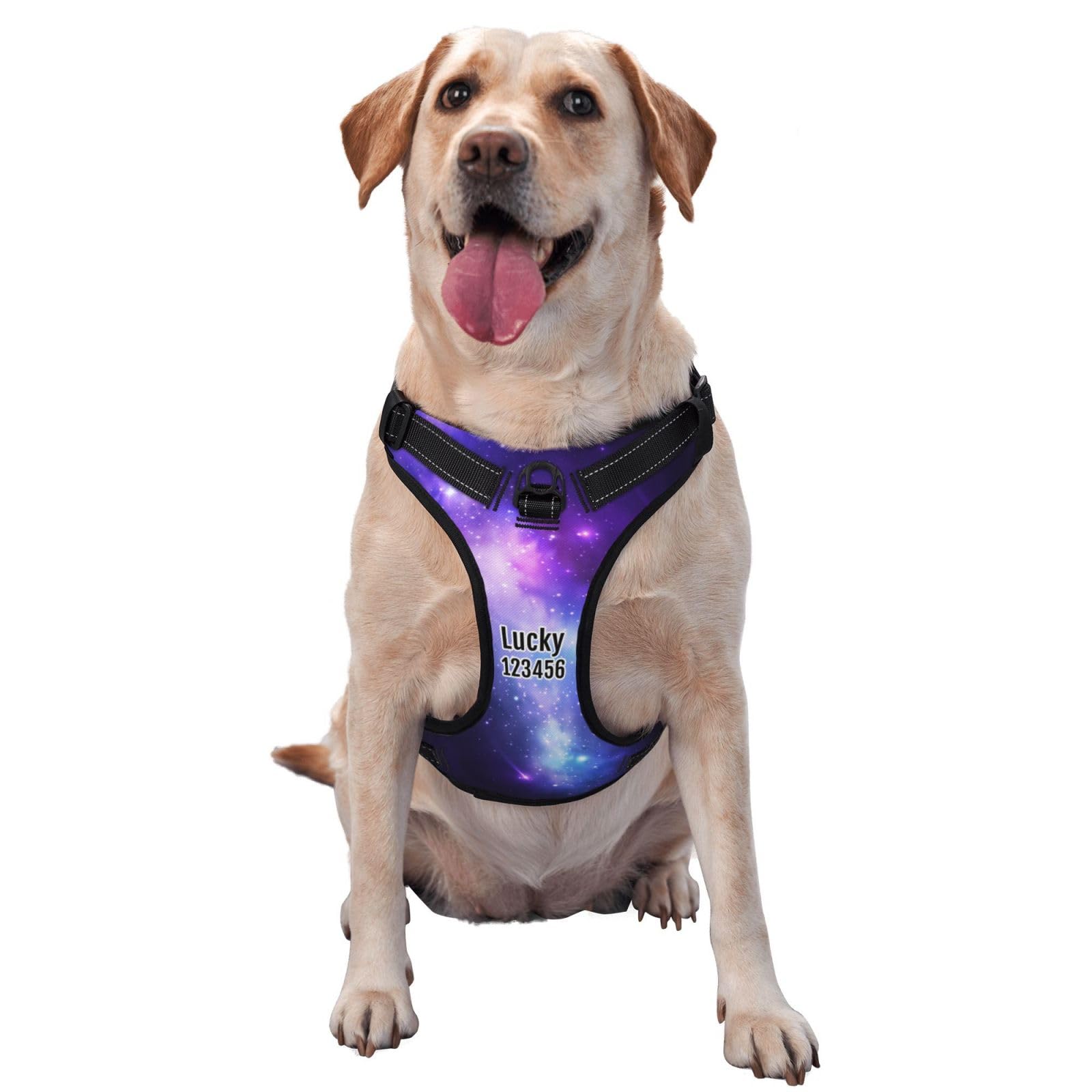 Personalized No Pull Dog Harness Leash, Custom Heavy Duty Reflective Dog Harness with Photo/Name/Phone Number/Text/Logo