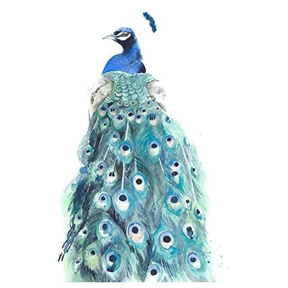 Wee Blue Coo Bird Peacock Watercolour Unframed Art Print Poster Wall Decor 12x16 inch