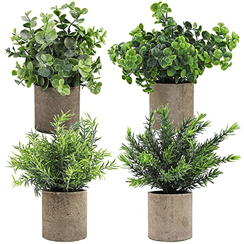 Ruisita ^tFCNA ~jlHA [J  lHA  O   ItBX fXN 4pbN