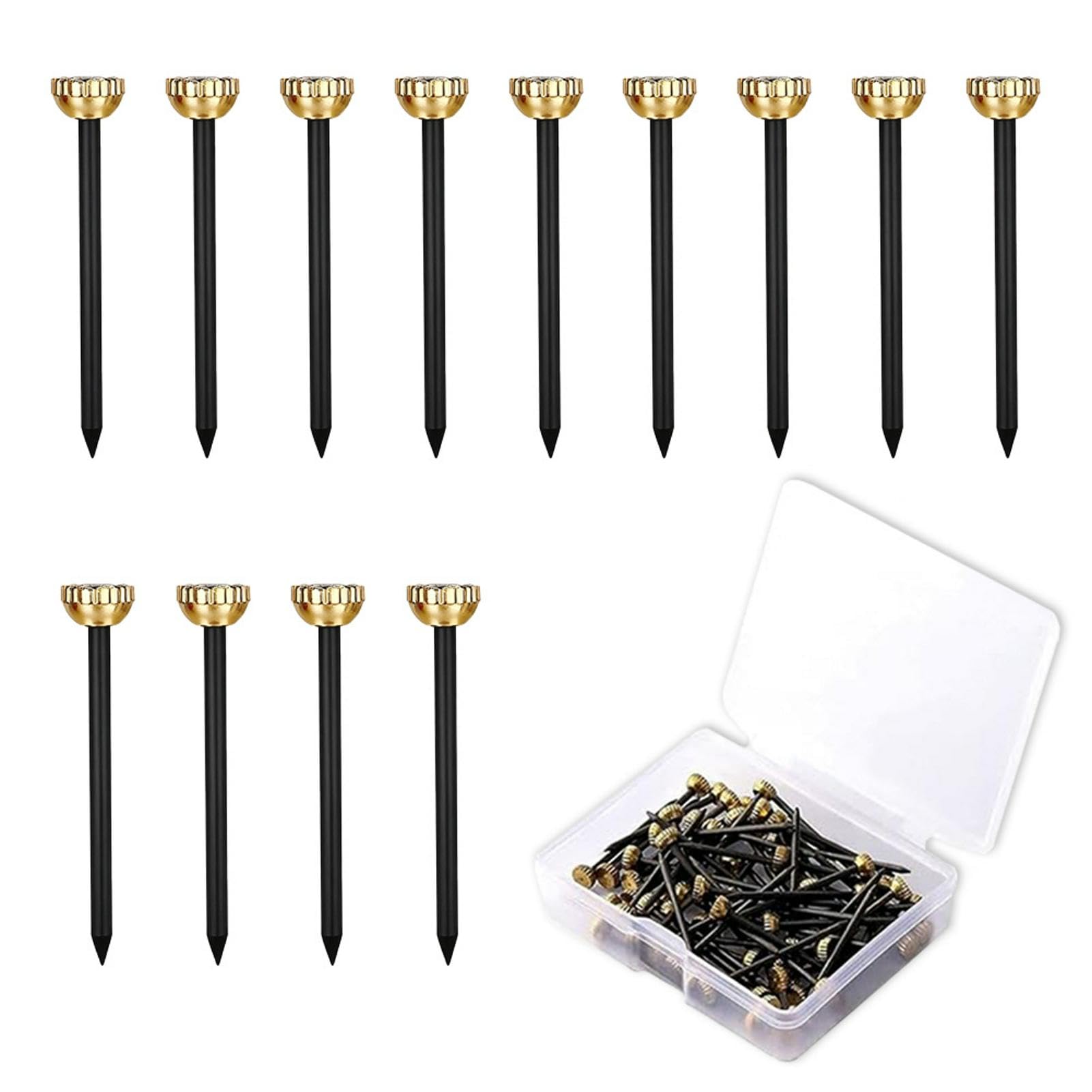 HONRIGO 60PCS Brass Picture Hanging Pins with Storage Box,Picture Pins Frame Hanging Nail for Photo Frames & Art