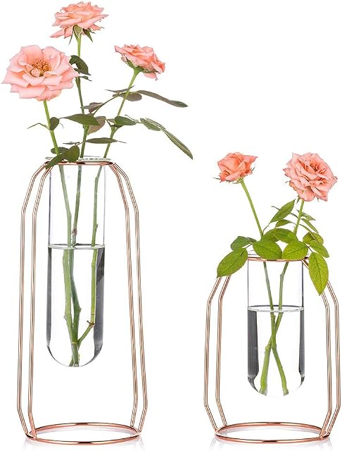 NUPTIO Vases Set of 2 Glass Vases with Metal Frame, Modern Rose Gold Frame Cylinder Clear Vase Planter Terrariums, Flower Holder Decorations for Wedding Living Room, Office, Party