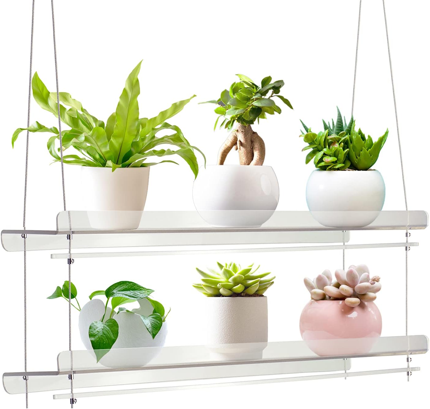Buy Window plant shelves indoor hanging shelf for plants, Hanging