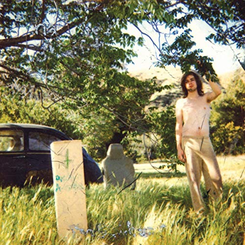 Album Art for The Doldrums [2 LP] [Remastered] by Ariel Pink