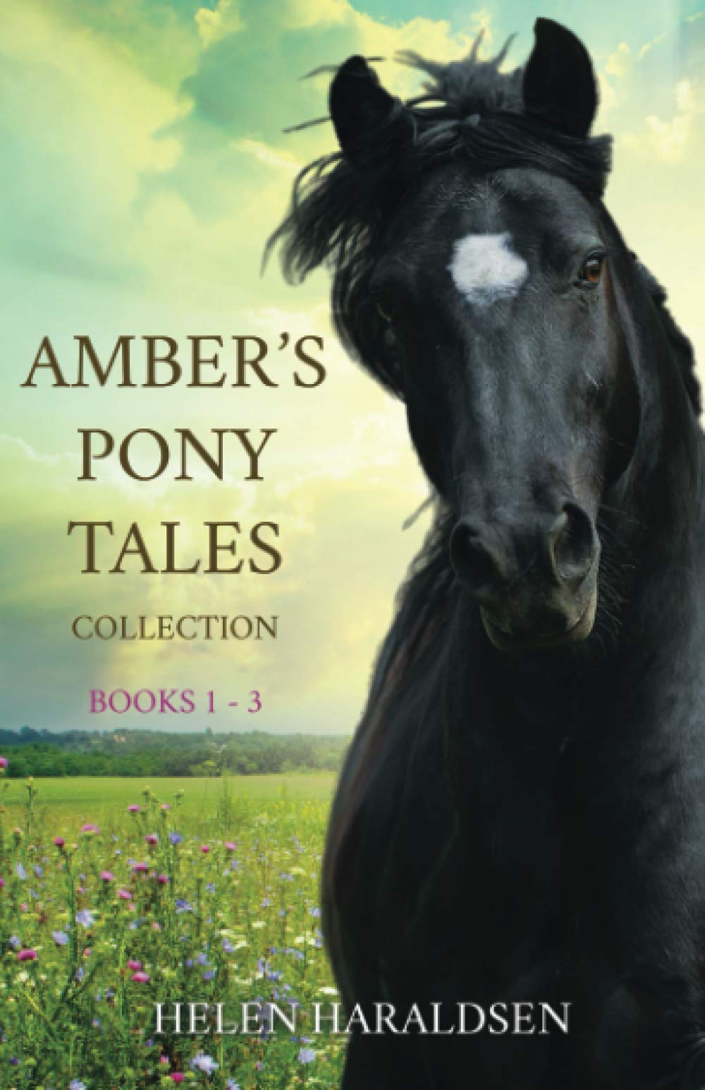 Amber's Pony Tales Collection: Books 1 - 3-Helen Haraldsen