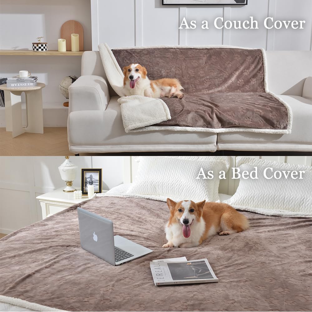 https://m.media-amazon.com/images/I/61f5DmOfFpL._AC_SL1000_.jpg