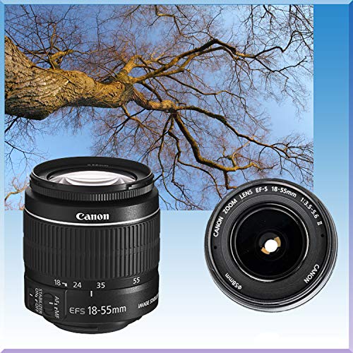 Canon EOS Rebel T7 DSLR con lente 18-55mm y accesorios miniatura 3