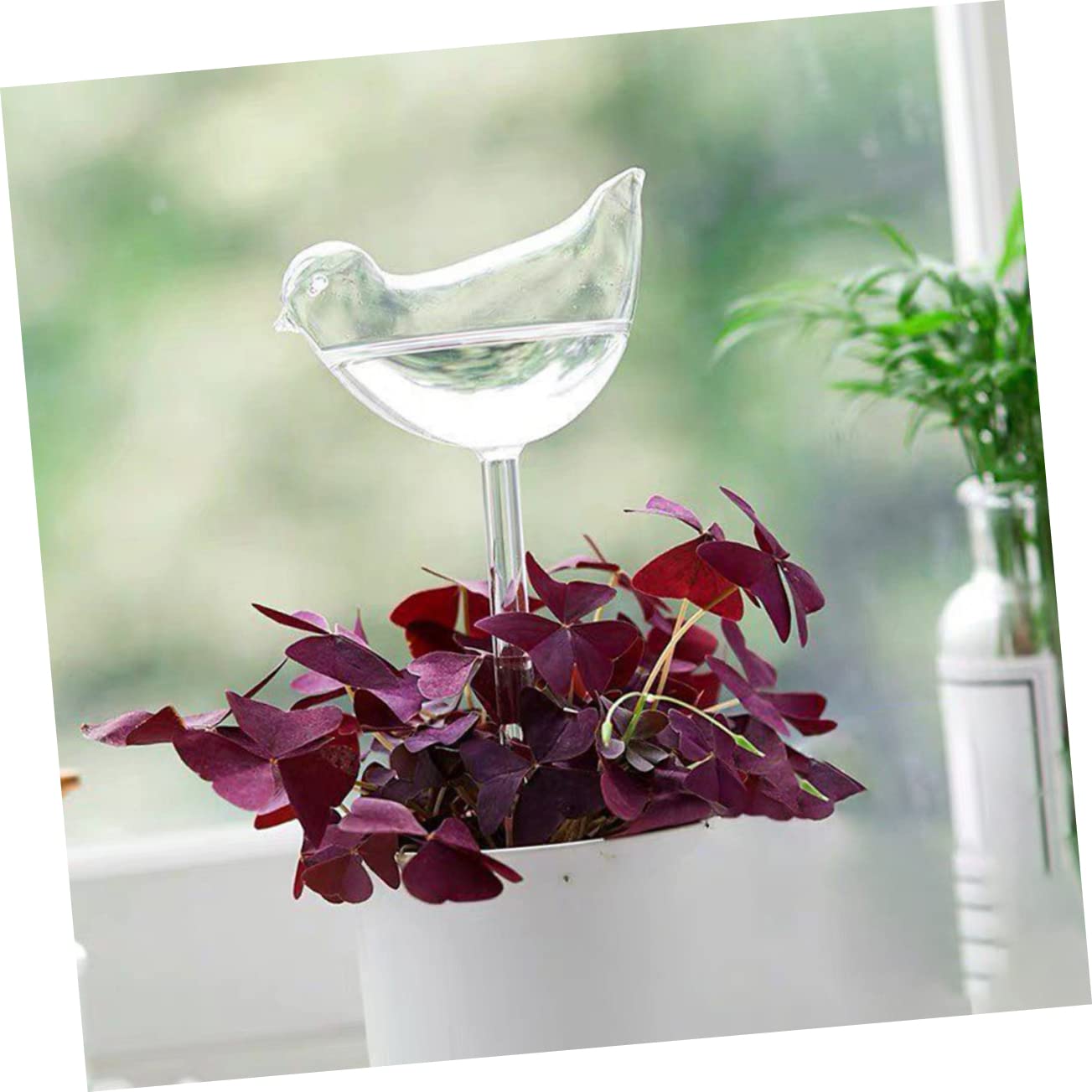 Toddmomy Globes à Arrosage Automatique Facile à Utiliser Lot de 4 en Verre Borosilicaté, Arrosage Automatique pour Plantes D’Extérieur