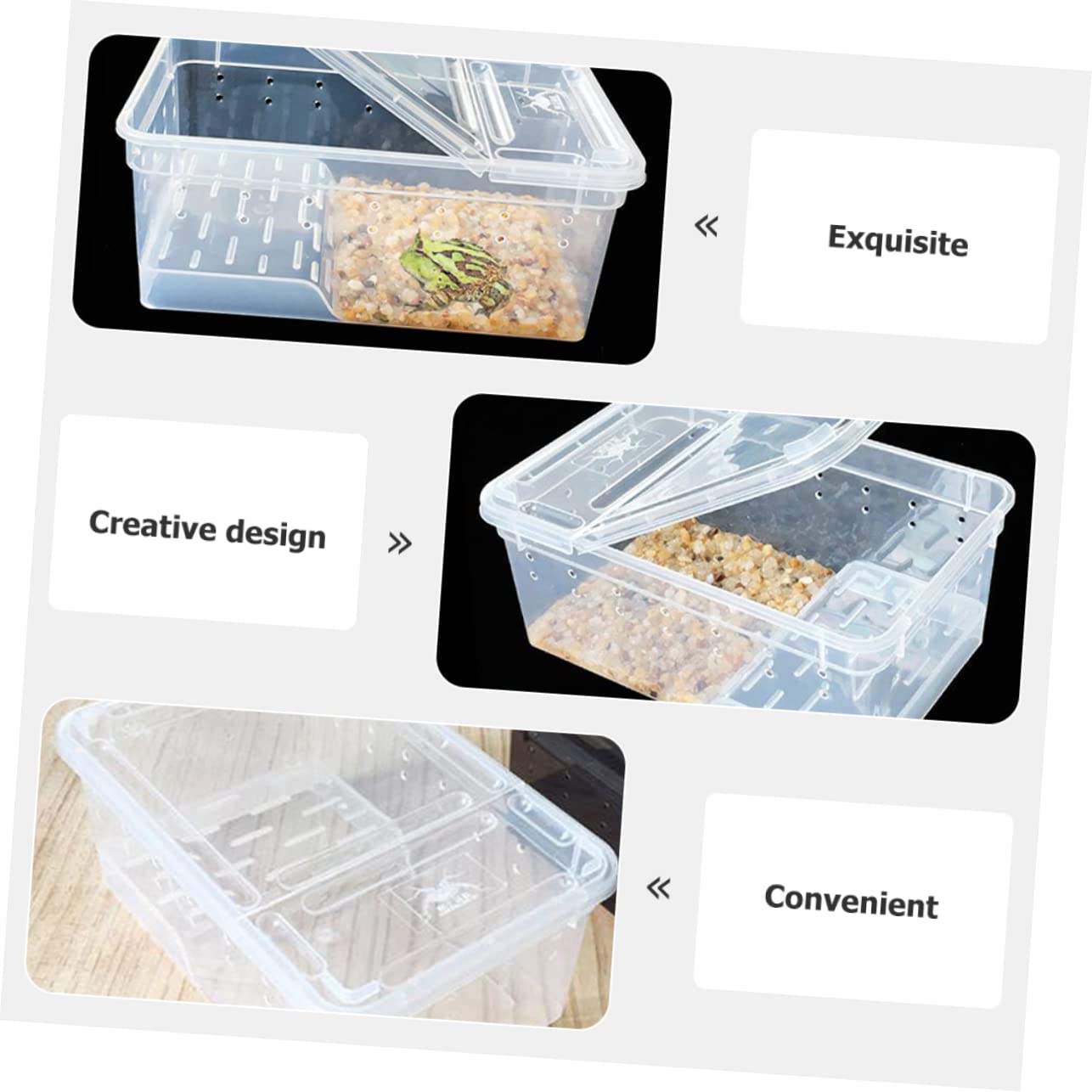 UPKOCH Terrario Area Riposo e Alimentazione in Plastica con Piattaforma Pendenza Adatta, per Osservazione Facile per Rettili e Esercizio della Tartaruga