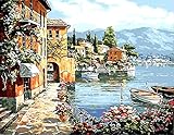 Morgofun DIY Painting Paint by Numbers for Adults, DIY Paint by Number Kits Peaceful Harbor Village Drawing 40x50cm