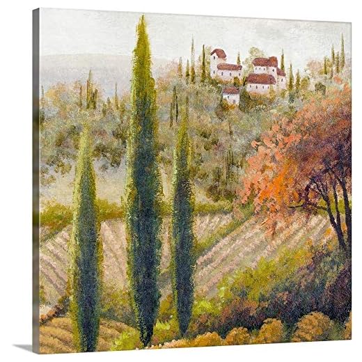 Tuscany Vineyard II Canvas Wall Art Print, 16"x16"x1.25"