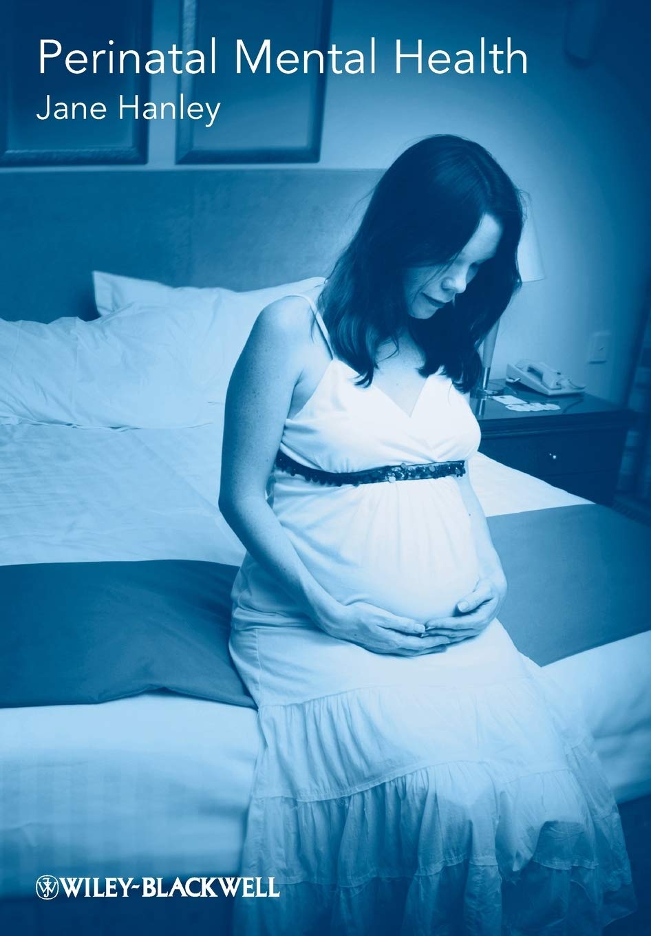 Perinatal Mental Health: A Guide for Health Professionals and Users