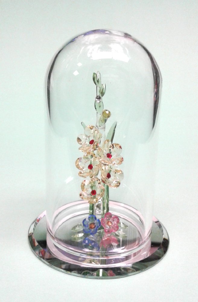 Crystal World"Gladiolus-YL"