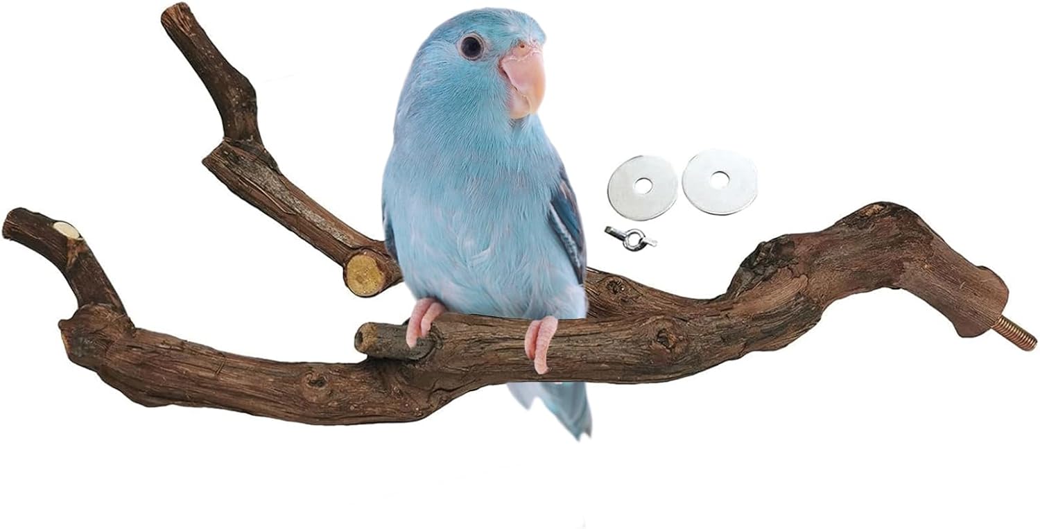 kathson Natural⁤ Parrot Perch