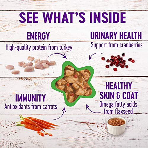 5 Best Canned Kitten Food in 2022 (with Reviews!)