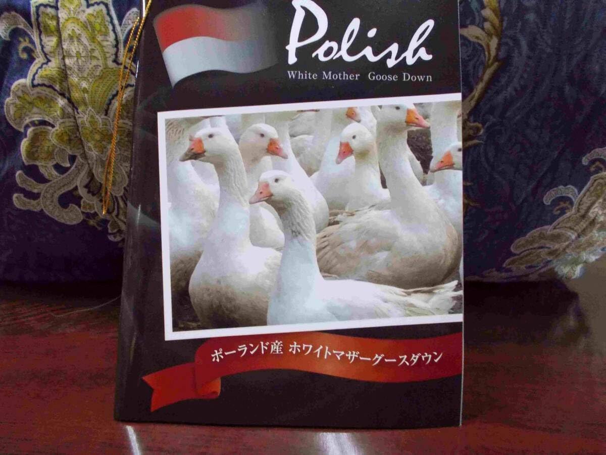 羽毛布団 シングル ポーランド ホワイトマザーグース CH92534 PI 羽毛