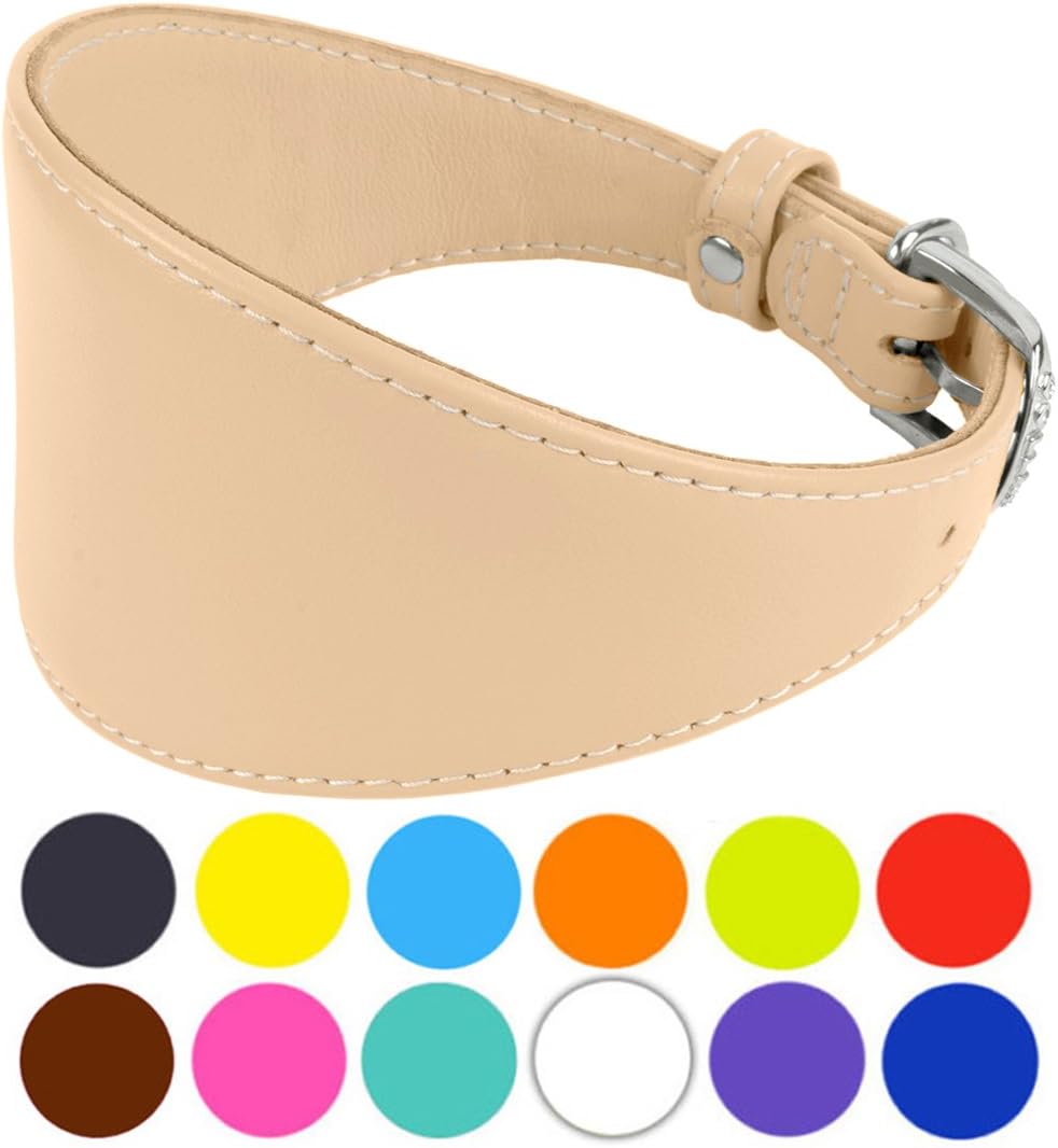 CollarDirect Whippet Dog Collar, Leather Greyhound Collars, Leather Dog Collar