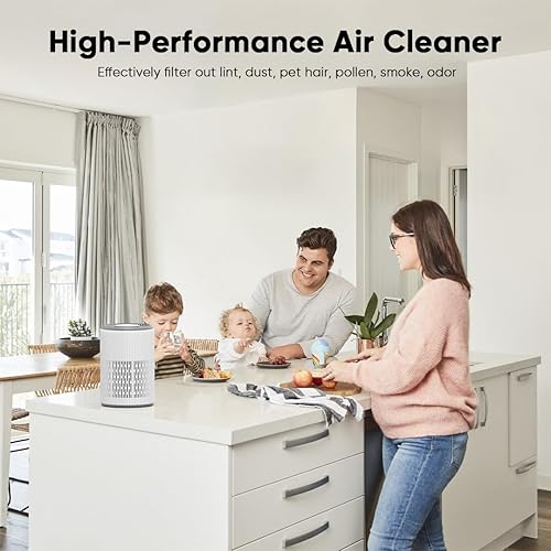 Miniatura 6 de Dayette Purificadores de aire de 3000 pies cuadrados para habitación grande del hogar, filtro Hepa H13 Ture para alergias, mascotas, moho de caspa,