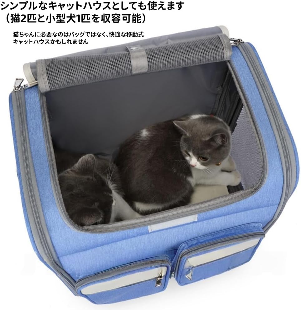 チロスケ 猫ちゃん (両面パネル)トートバッグ 猫イラスト トート