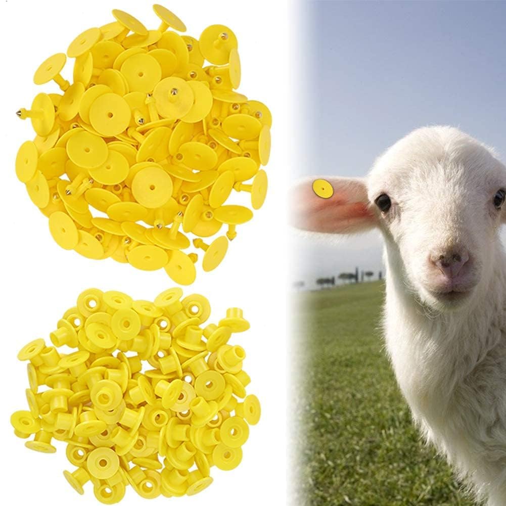 100pcs marchi auricolari di pecora giallo PU marchi auricolari identificazione bestiame etichette auricolari vuote per capra agnello bovini mucche maiali(Giallo)