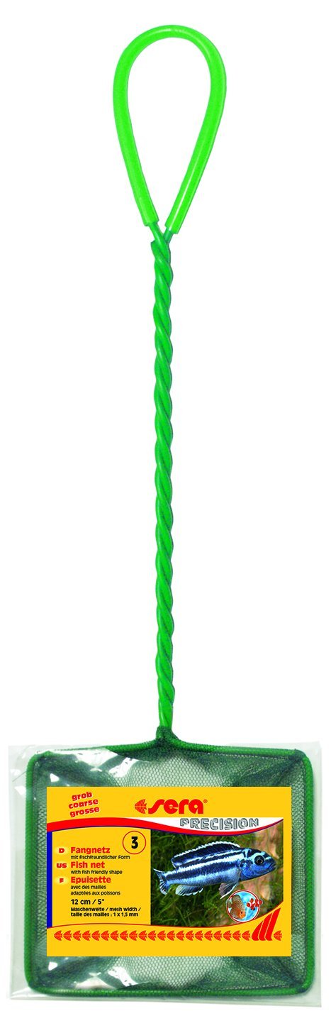 Sera Fang Red Gruesa, Red