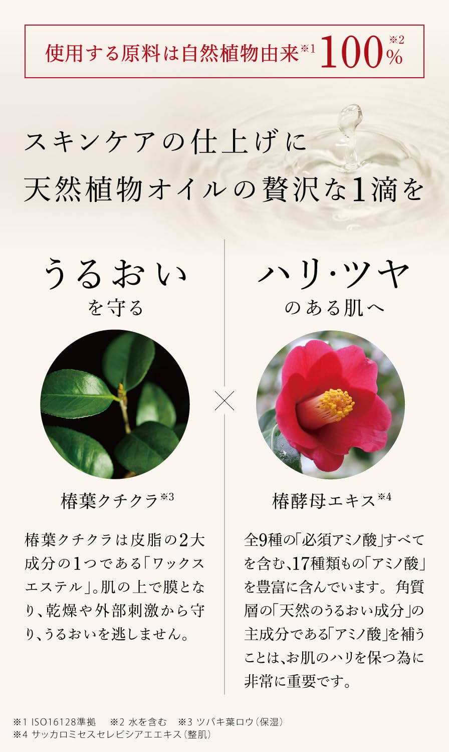 Amazon | 五島の椿 椿酵母オイル 40mL 顔用 保湿 椿由来スキンケア