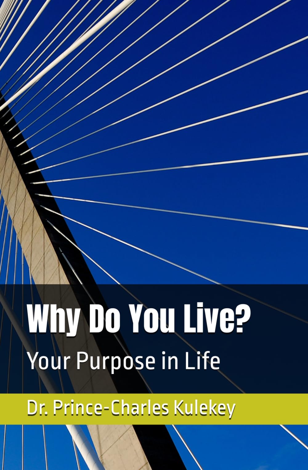 Why Do You Live?: Your Purpose in Life