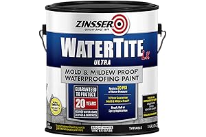 Mold and Mildew Resistant Paint for Basements: Keep Your Basement Fresh