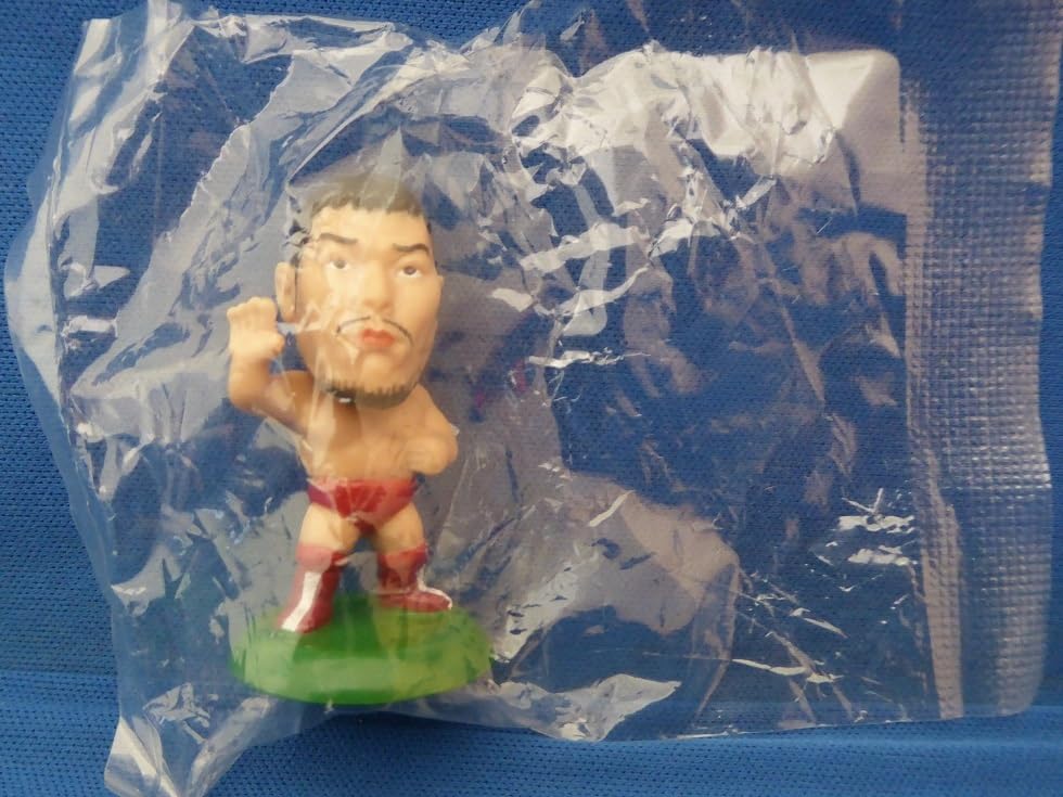 ☆daimyon☆　リング2点　プロ格ヒーローズ　プロレスフィギュア　新日 プロレスフィギュア プロ格ヒーローズ vol.3 NOAH編 2種