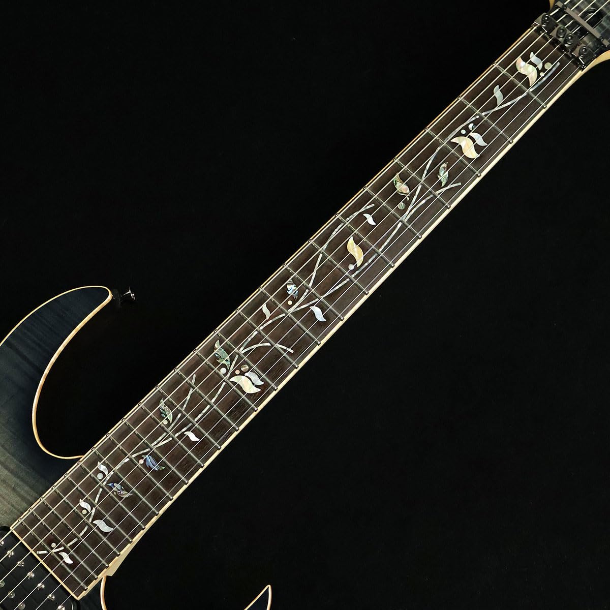 Amazon | Ibanez RG8527 Black Rutile S/N：F2315891 【j.custom】【7