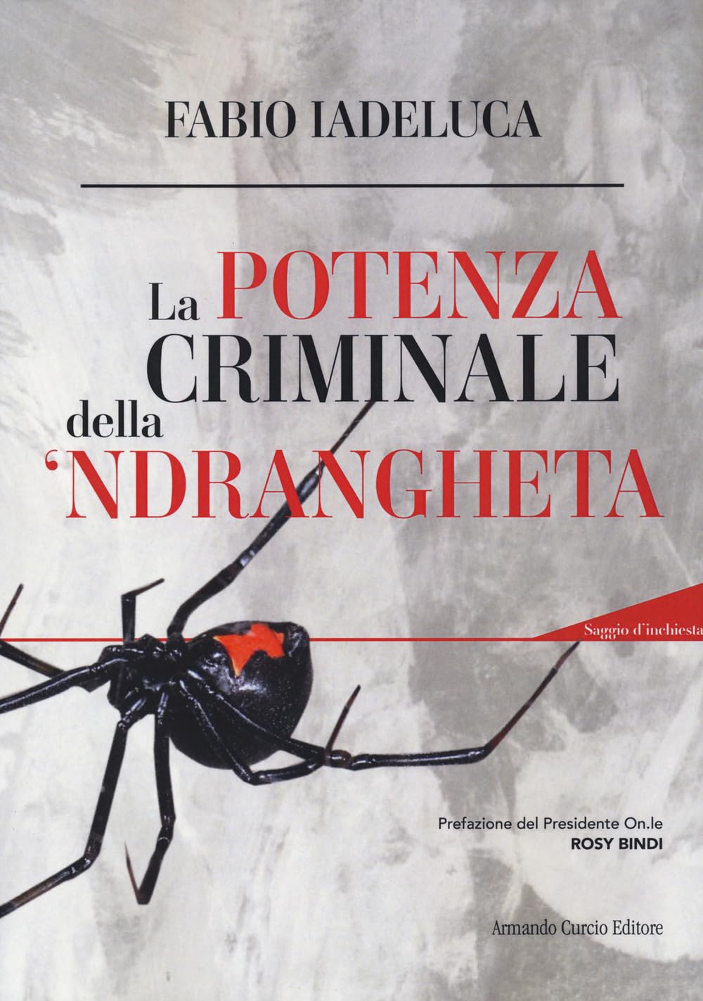 La Potenza Criminale Della 'Ndrangheta. Con Qr-Code - 4