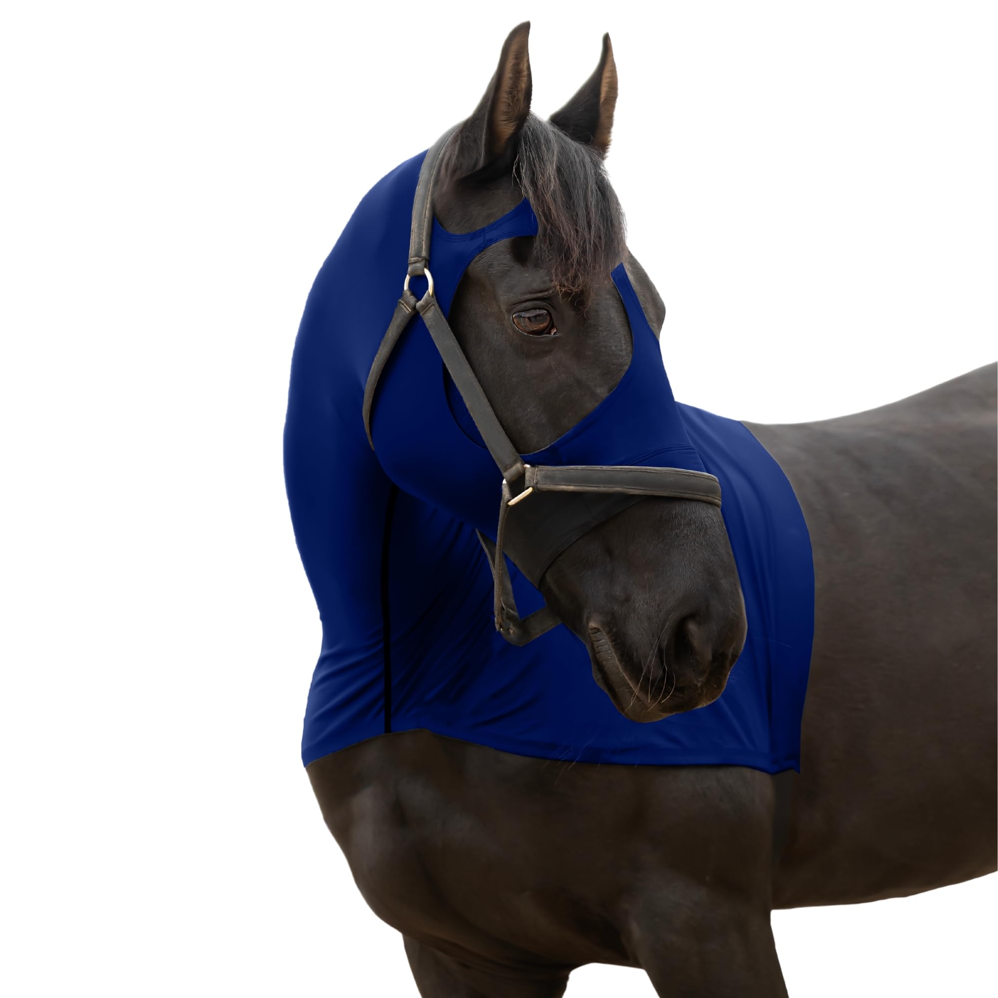 RESISTANCE Premium Horse Hood Full Zipper with Face & Forelock Saver - Horse Sleazy Slickers and Horse Care Sheet