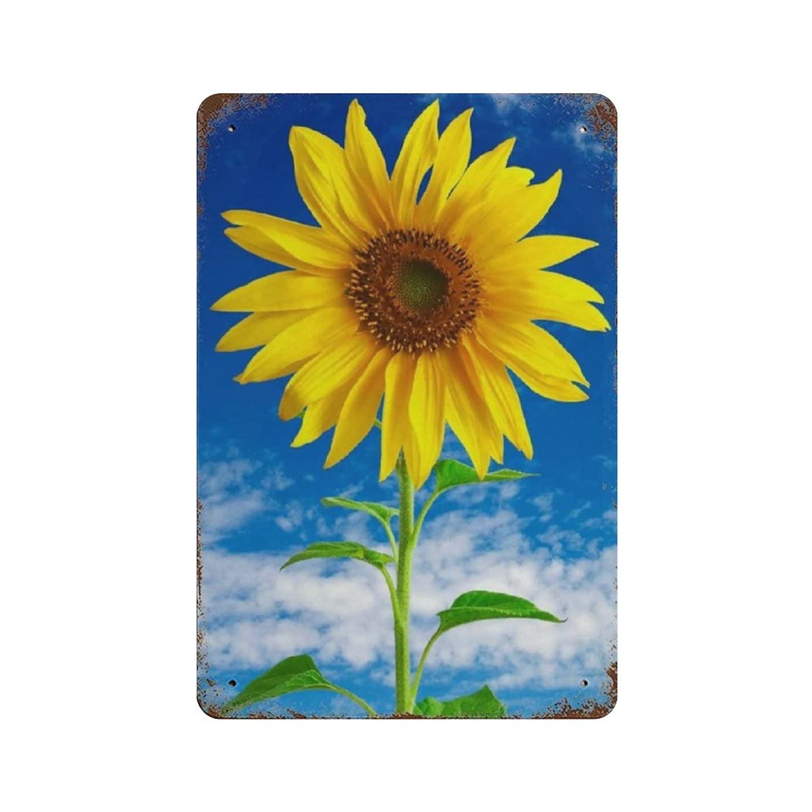 Sunflower Blue Sky Metal Signs, Fun Poster For Bar Kitchen Cafe Farmhouse Wall Decor 12x8 Inch