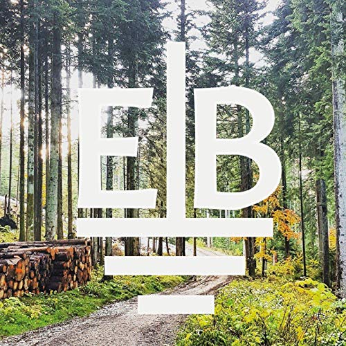 Couverture de Die Erdbar