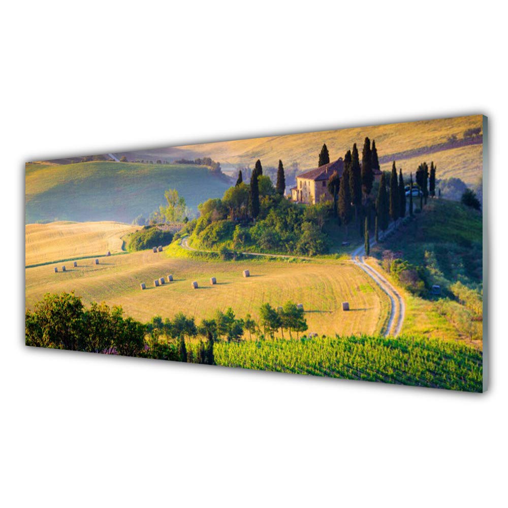 Tableau en verre trempé 125x50cm Tulup : fini les murs vides avec ce paysage moderne