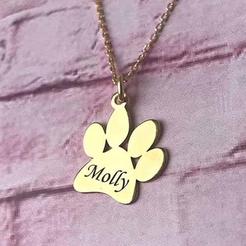 Bias&Belief Collier Imprimé de Patte Personnalisé avec Le Nom de L'animal Photo Nom Gravé Custom Chien Patte Pendentif Collier Bijoux Commémoratifs Cadeau,One Size,Gold Cover