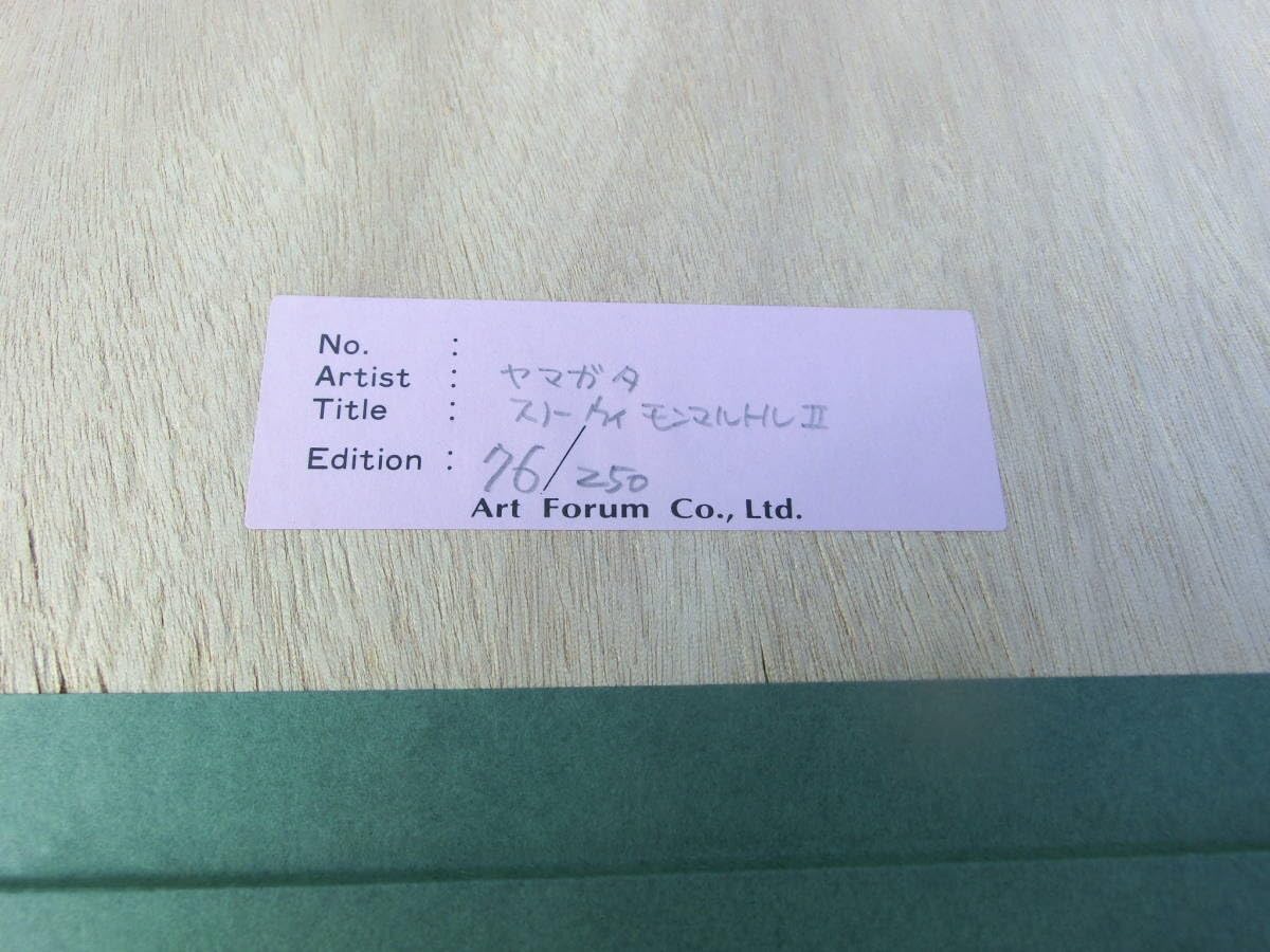 Amazon.co.jp: ヒロヤマガタ スノーウィモンマルトルⅡ AP