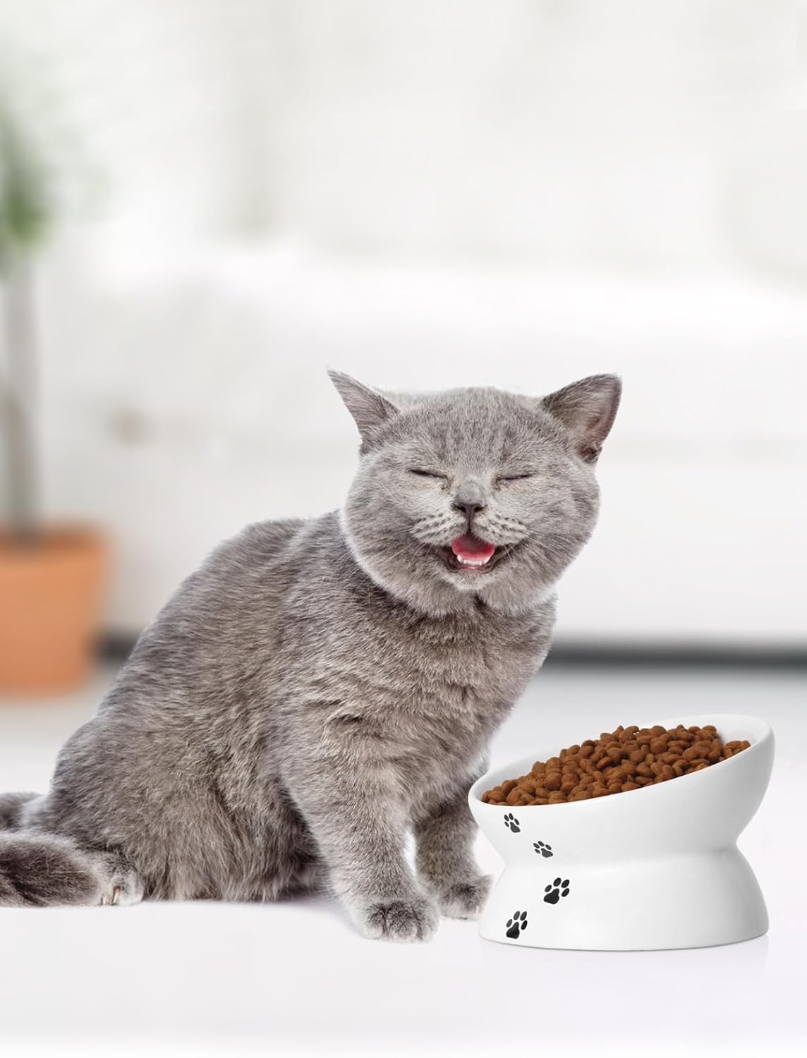 Elevated Tilted Ceramic Cat Bowl for Flat-Faced Pets