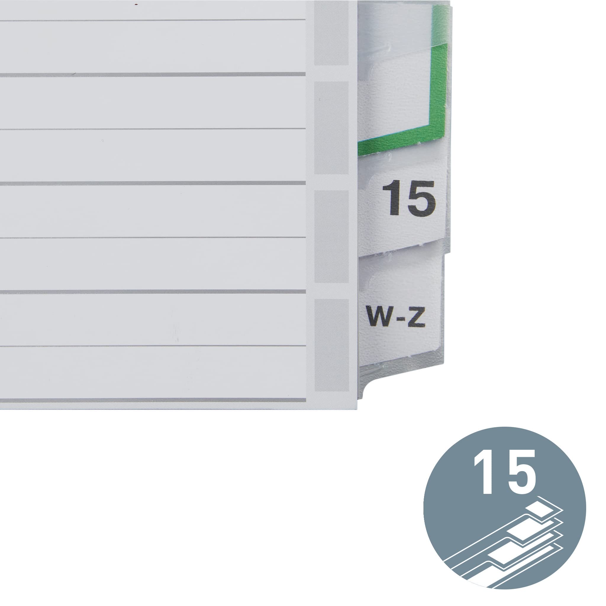 Leitz Register A4 Überbreite blanko Kunststoff 15-teilig grau mit Fenstertaben (1276-00-00) ab 11,54 € | Preisvergleich bei