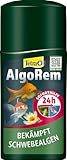 Tetra Pond AlgoRem - 24-Stunden-Soforthilfe gegen grünes Wasser im Gartenteich, bekämpft Schwebealgen, 250 ml