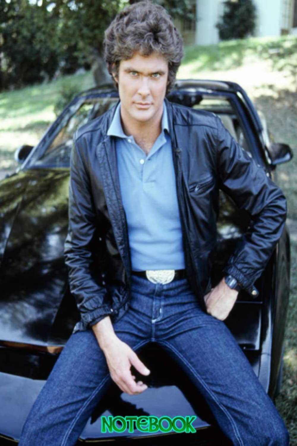 Notebook : David Hasselhoff Journal Notebook 6x9 110 pages Lined Thankgiving Notebook , Christmas Gift Idea #93