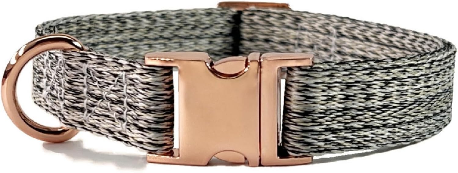 collare per animali domestici, Set collare for cani e guinzaglio da 4,9 piedi, base regolabile con fibbia in metallo resistente anello a D morbido(Brown,S)