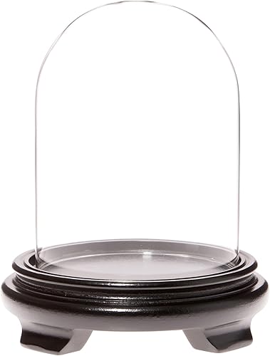 Miniatura 3 de Plymor Cúpula de cristal de 4.5 x 6 pulgadas (base con patas de chapa de madera de nogal)
