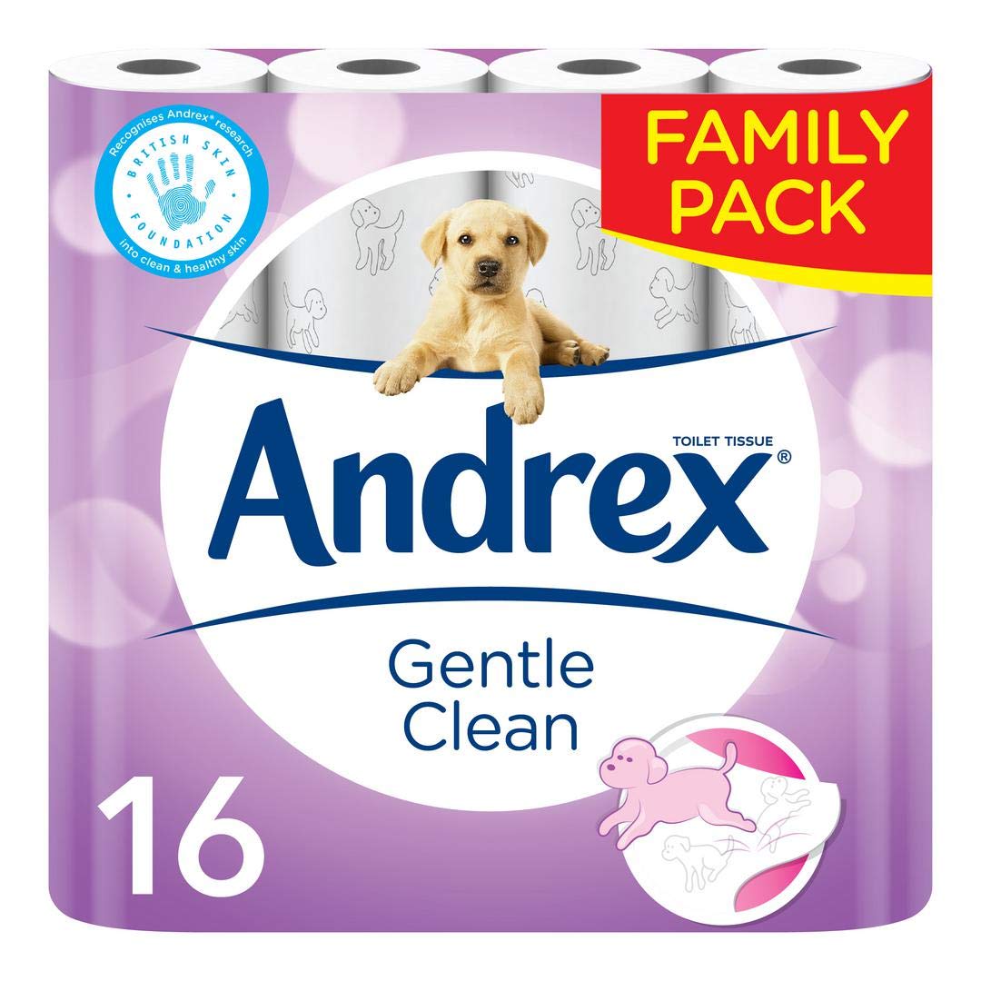 AndrexGentle Clean Toilet Rolls Pack, 16 Count (Pack of 1)
