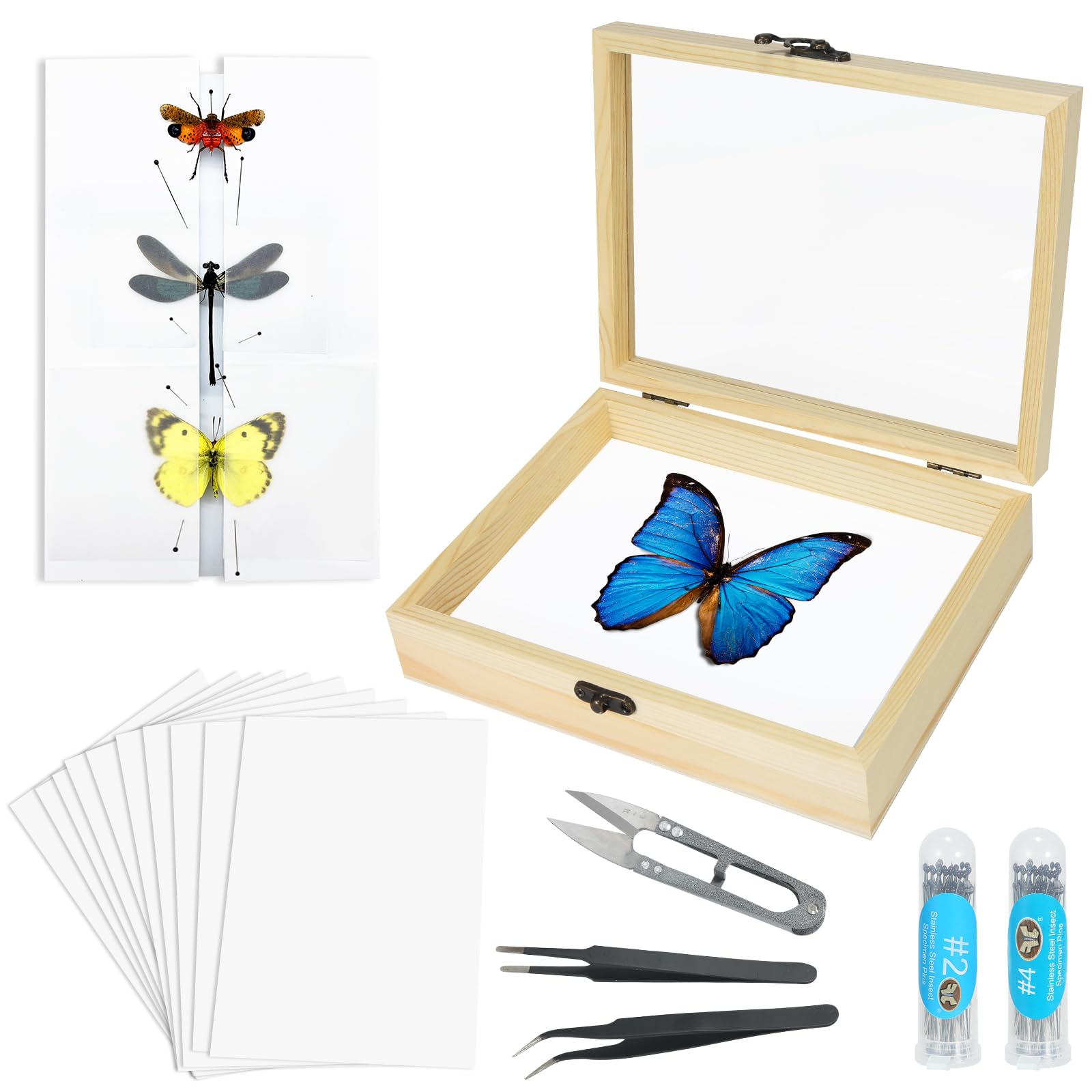 Making Insect Specimen Tools Kit, (Insect Pins, Insect Shadow Box, Insect Pinning Board, Wings Pressing Paper, Tweezers, Scissors), Insect Specimen Collection Display for Bug Hobbyist/Biology Projects